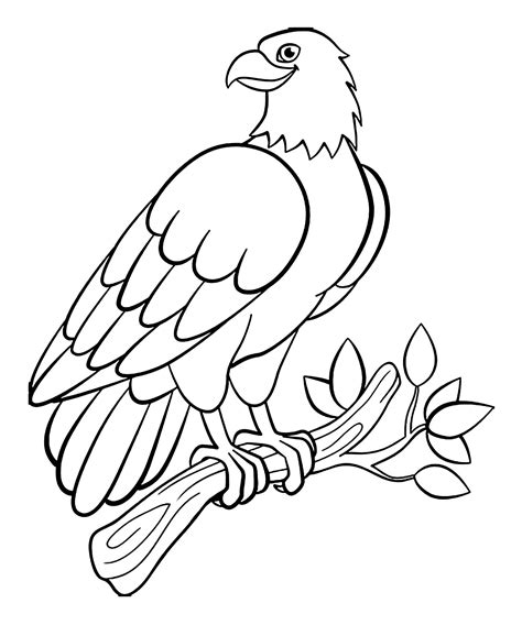 Printable Bird Coloring Pages