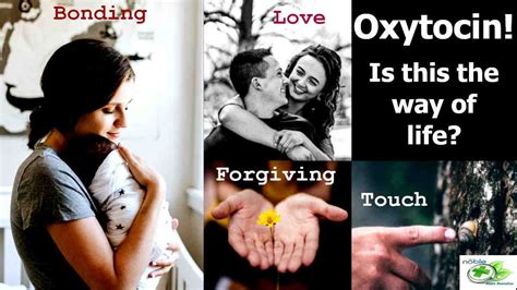oxytocin benefits and side effects you ever want to know