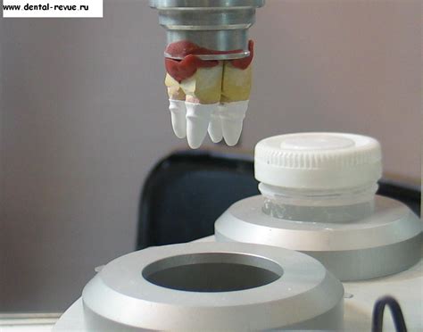 Полная занятость, не готов к командировкам. Dental-Revue | Статьи | Менеджмент | Dental-Salon 2007 ...