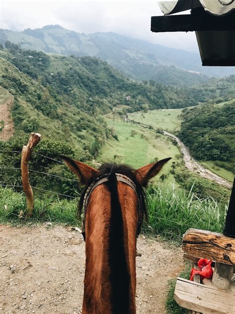 Coastal horseback riding in ga. Sacramento Best Horseback Riding Trails and Instruction ...