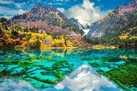 El Lago De Las Cinco Flores Un Tesoro De La Naturaleza En China Mi Viaje