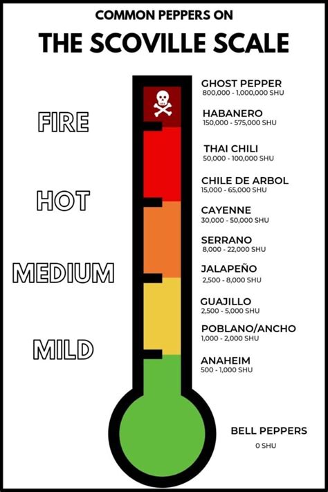 The Scoville Scale A Guide To Hot Peppers Isabel Eats