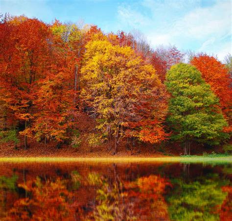 How To Capture Changing Seasons In Time Lapse 2021