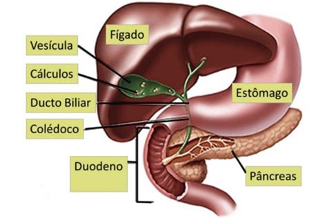 Dr Eduardo Ramos