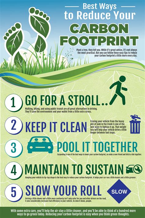 Best Ways to Reduce Your Carbon Footprint - Green Living Guy