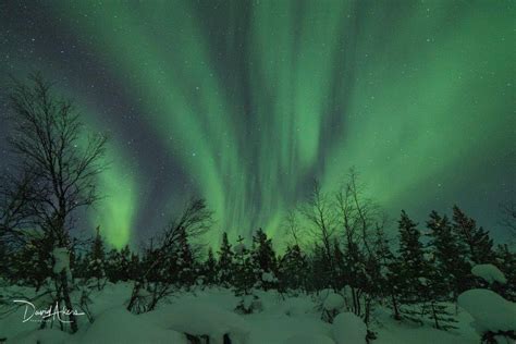 The Night Sky Above Kaaresuvanto Finnish Lapland Keighley
