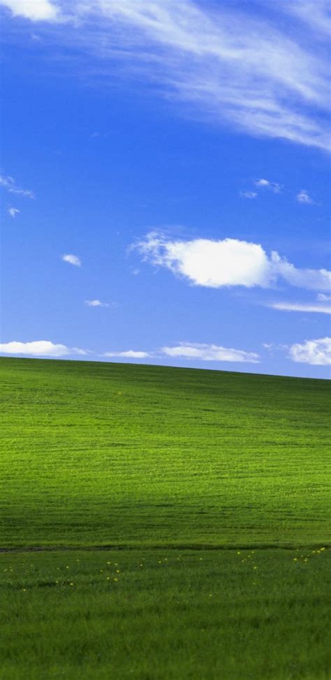 1440x2960 Windows Xp Bliss 4k Samsung Galaxy Note 98 S9s8s8 Qhd Hd 4k Wallpapers Images