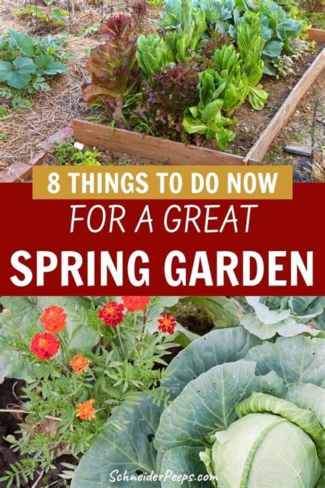 Now you can add it to your hot bar and place it in your garden or wherever you want. 8 Things You Can Do Now to Have a Great Spring Garden ...