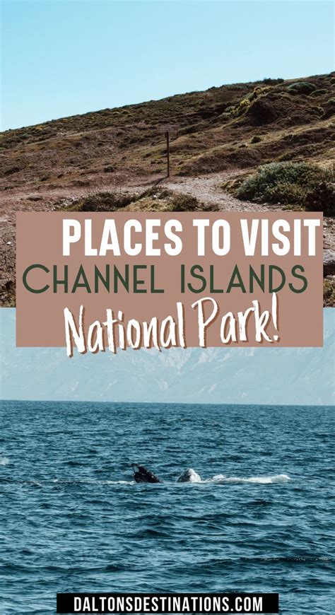 Channel Islands National Park A Natural Wonder