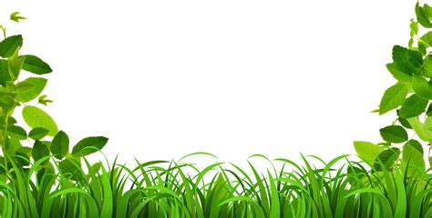 Green Grass Background Clipart Green Nature Leaf Transparent Clip Art