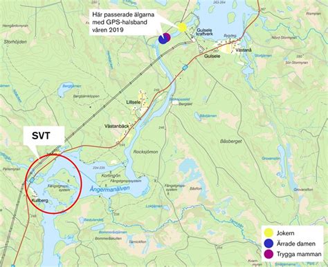 Det finns även en mörkerkamera vid passagen, man kan t.o.m se den på håll med mörkerkameran från näset. Så har det gått för SVT-älgarna | Externwebben