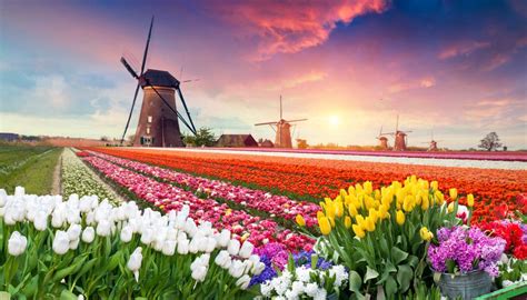 Tổng Hợp 48 ảnh Về Phong Cảnh đẹp Hà Lan Vn