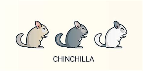 Chinchilla Cartoon Characters Chinchilla Cartoon Dozorisozo