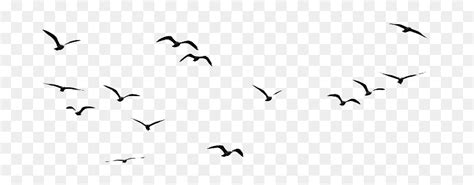 How To Draw A Bird Flying In The Sky