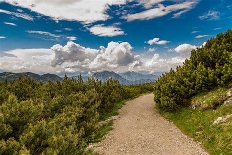 Summer Landscape Mountain Path On The Blue Sky Background Panorama