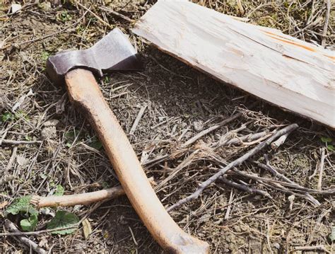 Chopping Wood With An Ax Stock Image Image Of Homework 168334113