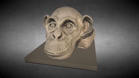 Clay Ape Head Download Free 3d Model By Moshe Caine Moshecaine