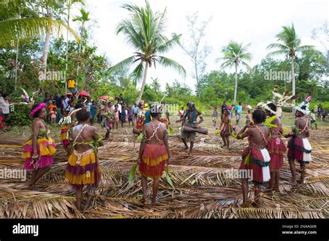 Villagers Performing Traditional Sing Sing Melanesian Tribal Dance In