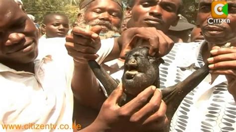 【閲覧注意】獣姦か。ケニアで人間の顔をしたヤギが生まれる ポッカキット