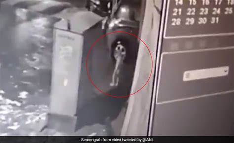 On Cctv 2 Year Old Slips Into Mumbai Drain As He Walks Alone At Night