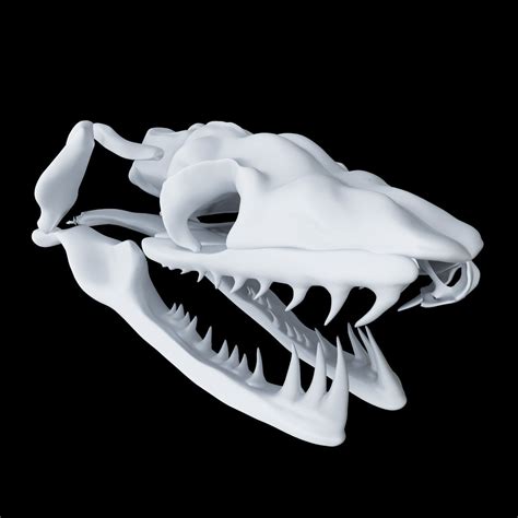 Skull Snake Aglyphous 3d Model 3d Printable Cgtrader