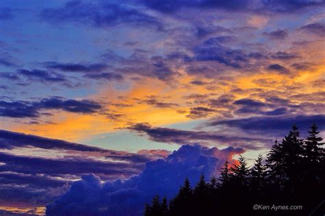 Amazing sky after the storm | Sky, Celestial, Photography