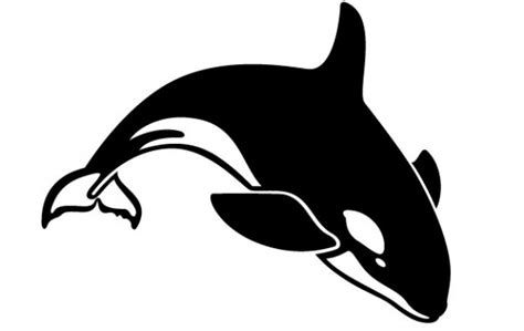 Killer Whale Vector Image Download Free Vector Clipart Best