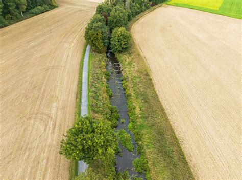 Münsterländer Picknicktage Picknick An Der Steverlandroute Senden