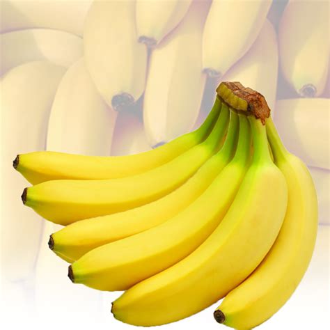 Organic Cavendish Banana Sunvivo Holdings Pvt Ltd