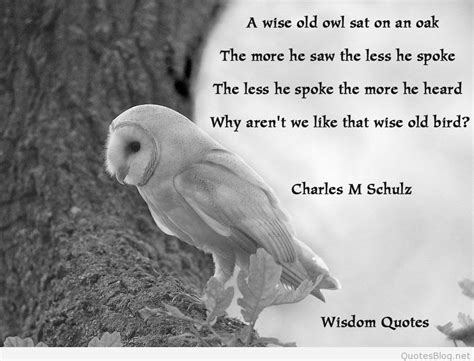 Pin By レナ On Lessons In Life Owl Quotes Wisdom Quotes Wise Quotes