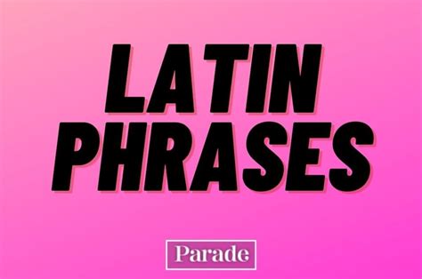 Latin Phrases And Saying With Their Cool Meanings Parade