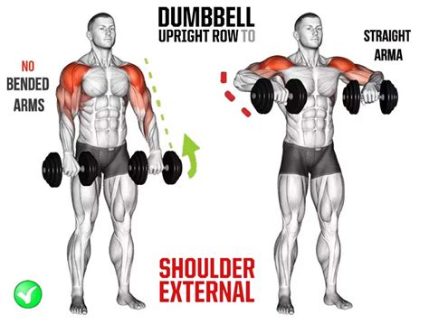 The barbell upright row exercise works the shoulders, including the deltoids and trapezius, and the upper back. How to Do Upright Dumbbell Row, Tips, Benefits | Workout & Guide