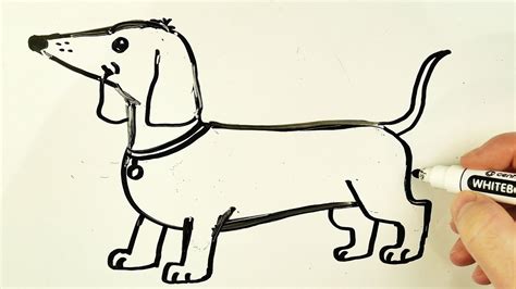 How To Draw A Dachshund Very Easy Drawing Dog On A Whiteboard Youtube