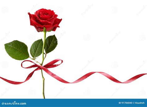 Smal Red Silk Ribbon Bow And Red Rose Flower Stock Photo Image Of
