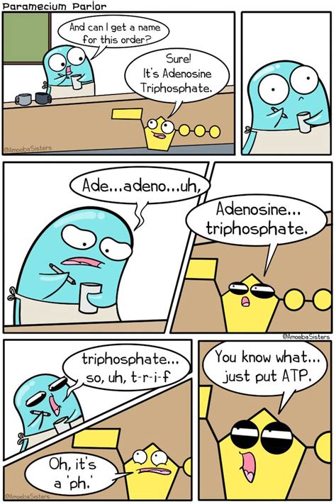 Paramecium Parlor Comics Science With The Amoeba Sisters Biology