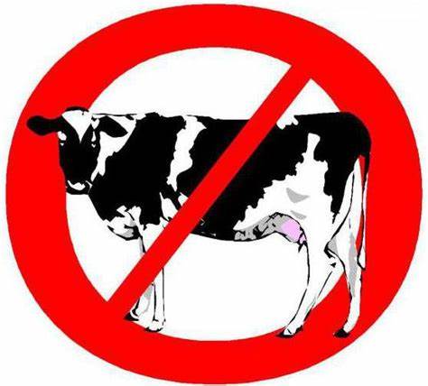 Безмолочная диета ребенку