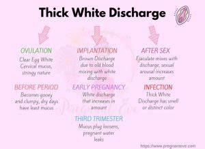 Thick White Discharge Types Causes Treatment