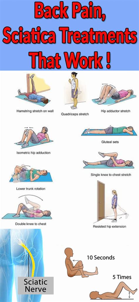 The sciatic nerve is the longest nerve in the body, and it's triggered by a variety of conditions and injuries. Pin on Psoas Exercises