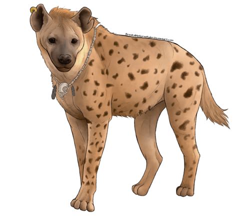 Hyena Png Vectors Free Psd Templates Png Free Psd Templates Png