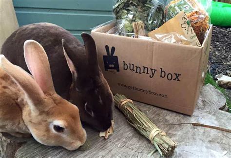 Bunny Box All Subscription Boxes Uk