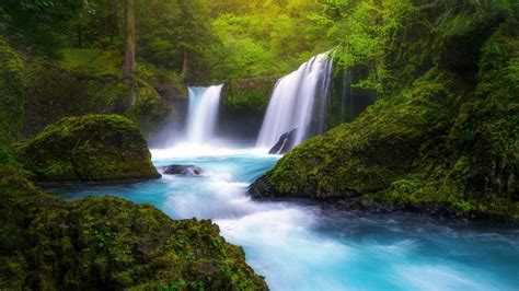 Download Green Tree Forest Nature Waterfall Hd Wallpaper