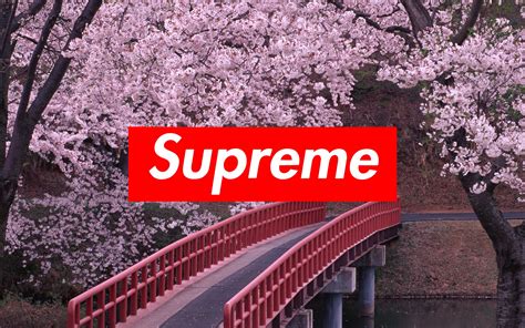 Supreme is one the top streetwear brands in the world. Supreme background ·① Download free backgrounds for desktop and mobile devices in any resolution ...