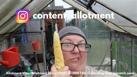 Allotment Vlog Allotment Diary Sweetcorn Fail Collecting Tree