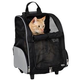Buy cat backpacks for women and get the best deals at the lowest prices on ebay! How the Best Cat Carrier Backpack Can Make Life Easier for You