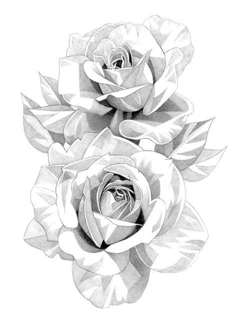 Roses Pencil Drawing By Matthewhackart On Deviantart
