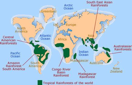 Location of tropical (dark green) and temperate/subtropical (light green) rainforests in the world. Geography... Extreme Landscapes: TROPICAL RAINFORESTS