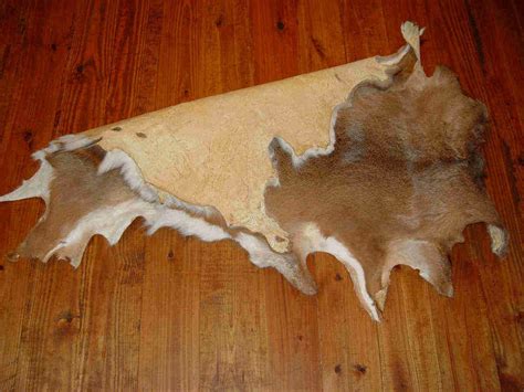 Heres What You Should Do With Your Deer Hides — The Hunting Page