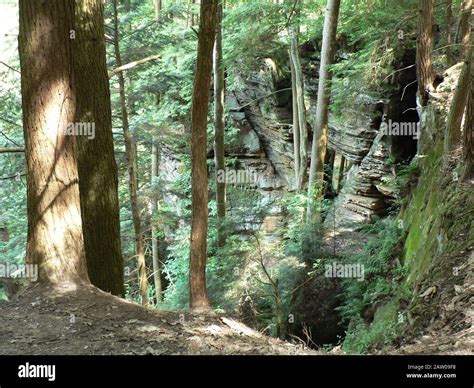 Rim Trail Conkles Hollow Hocking Hills State Park Ohio Stock Photo