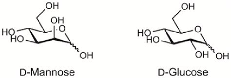 Chemical Structure Of D Mannose Compared To D Glucose Download