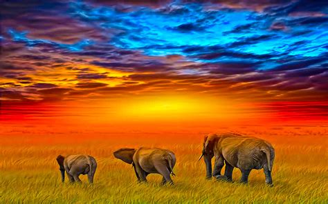 African Sunset Animales Elephants Art Wallpaper Hd For Desktop ...